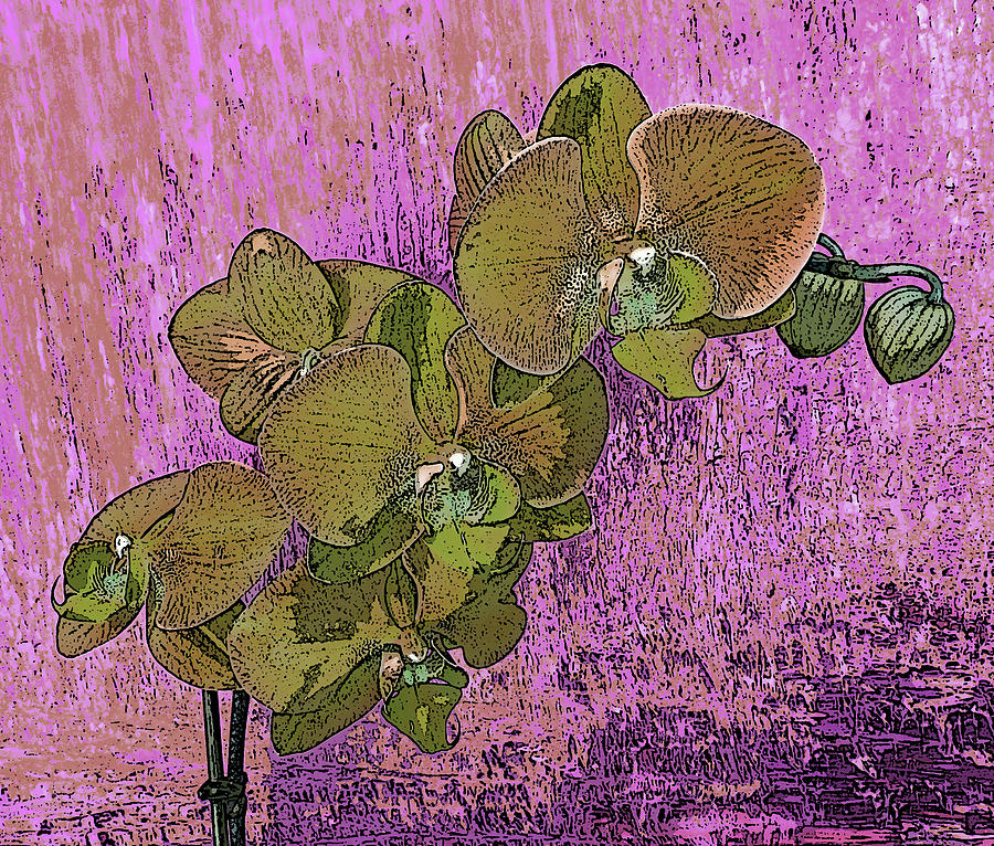 Orchids Gold and Green with Pink Photograph by Corinne Carroll