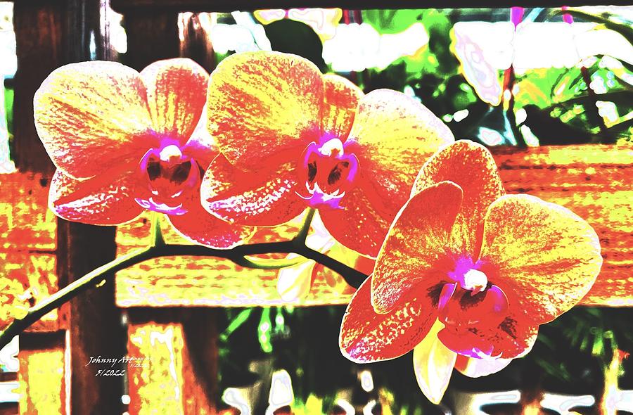 Orchids Have Fun Photograph by John Anderson