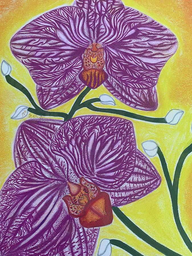 Orchids  Drawing by Kalunda Janae Hilton