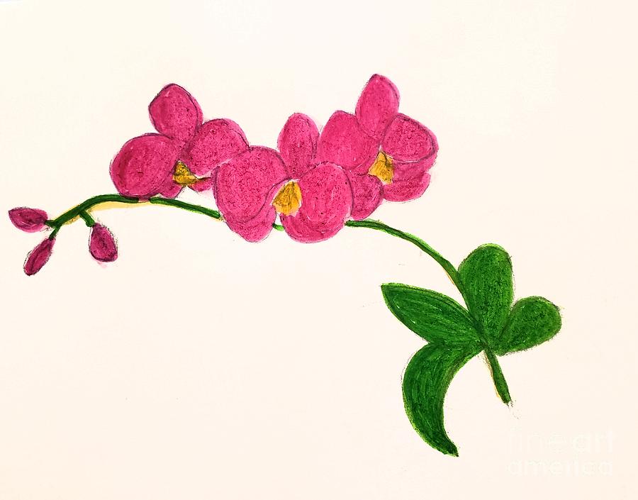 Orchids Painting by Margaret Welsh Willowsilk