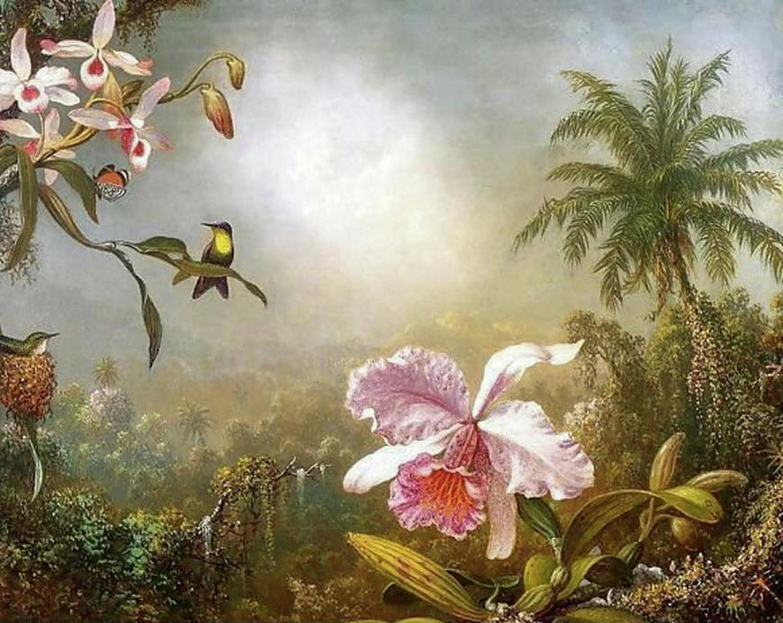 Orchids Nesting Hummingbirds And A Butterfly Painting by Martin Johnson Heade