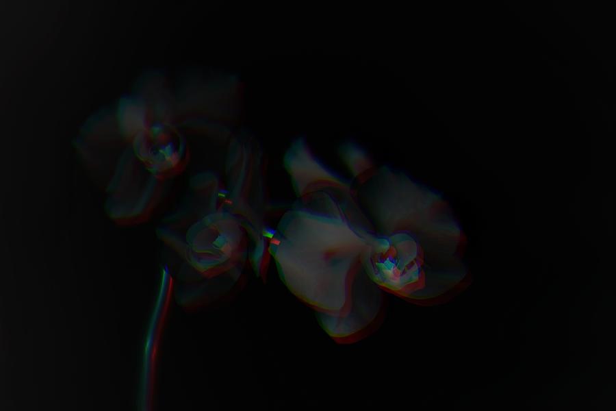 Orchids Noir - Surreal Illusion Photograph by Marianna Mills