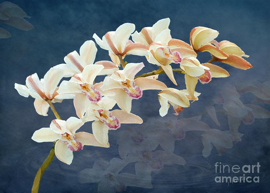 Orchids Over the Water by J Marielle Orchids Over the Water by J Marielle