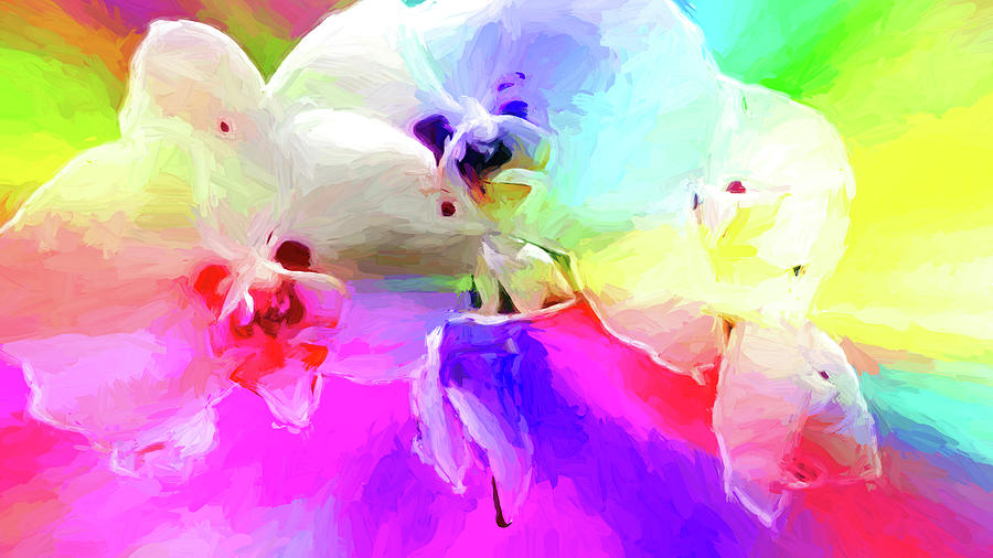 Orchids Vivid color Digital Art by Cathy Anderson