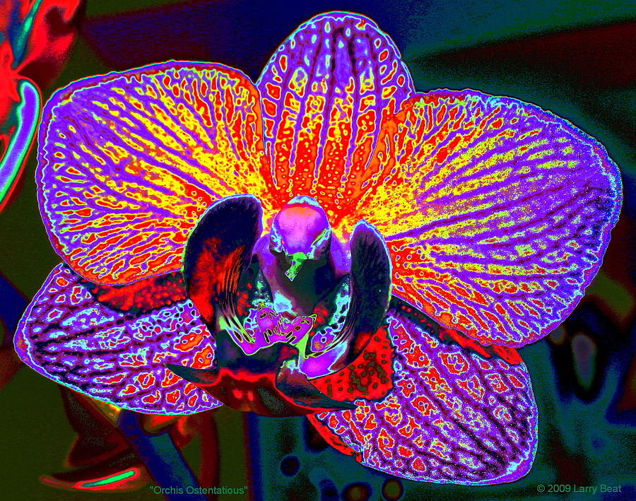 Orchis Ostentatious Digital Art by Larry Beat