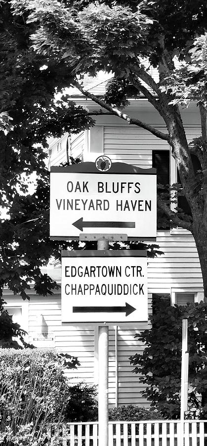 Ordinary Town Signs Photograph by Kathy Barney