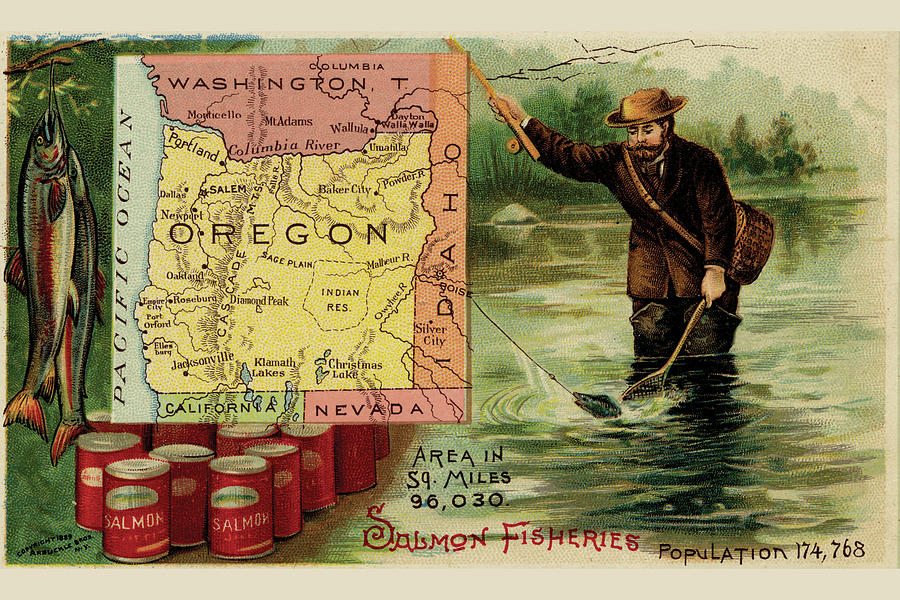 Map Drawing - Oregon by Arbuckle Brothers