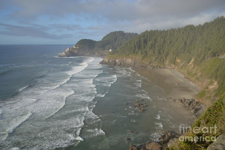 Oregon Bay Photograph by Mary Rogers