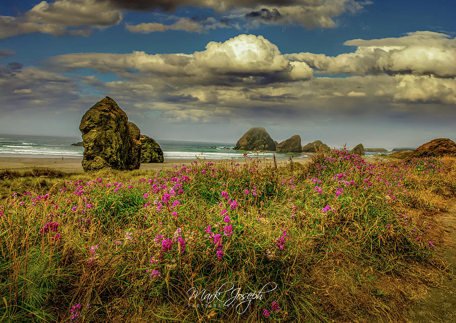 Oregon Beach Photograph by Mark Joseph