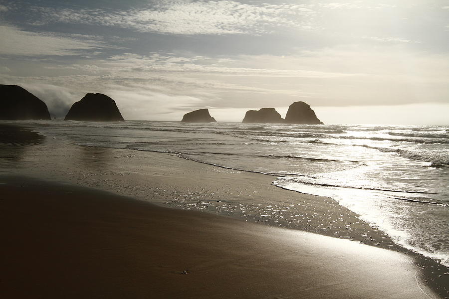 Oregon Beach Photograph by Tammy Hankins