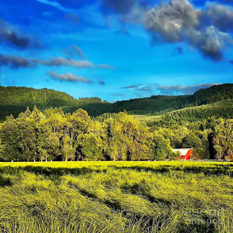Oregon Bliss Photograph by Suzanne Lorenz