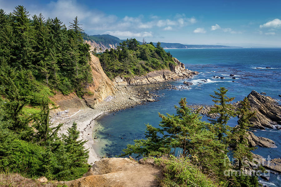 Oregon Cape Arago Highway 119 Photograph by Maria Struss Photography