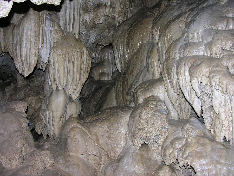 Oregon Caves Photograph by Shirley Stevenson Wallis - Fine Art America