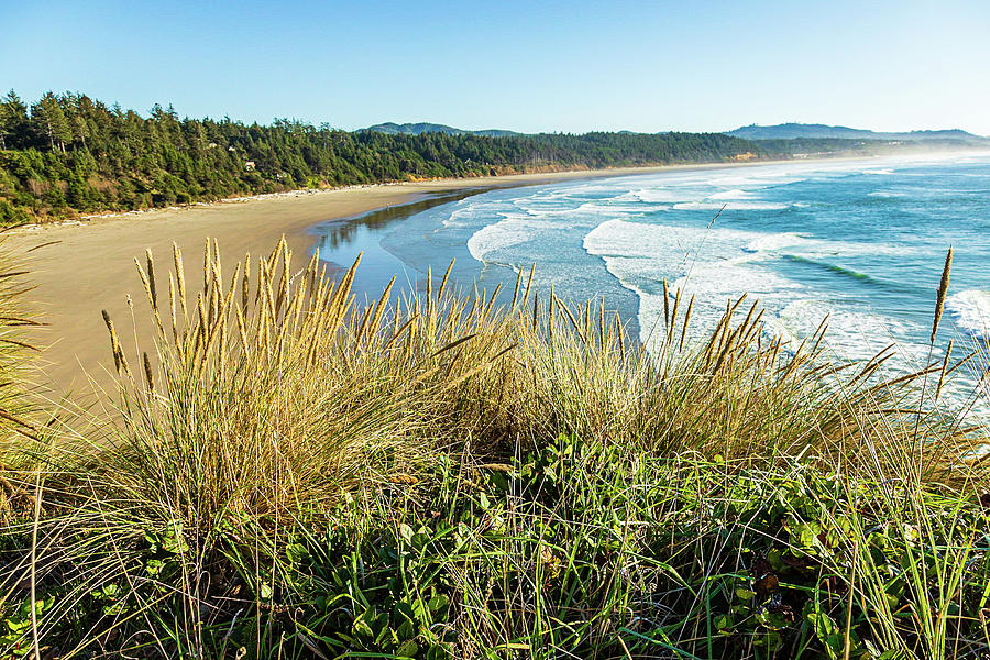 Oregon Coast-1 Photograph by Claude Dalley