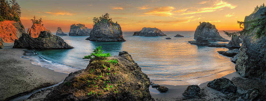 Oregon Coast Beach Pano Photograph by Michael Ash