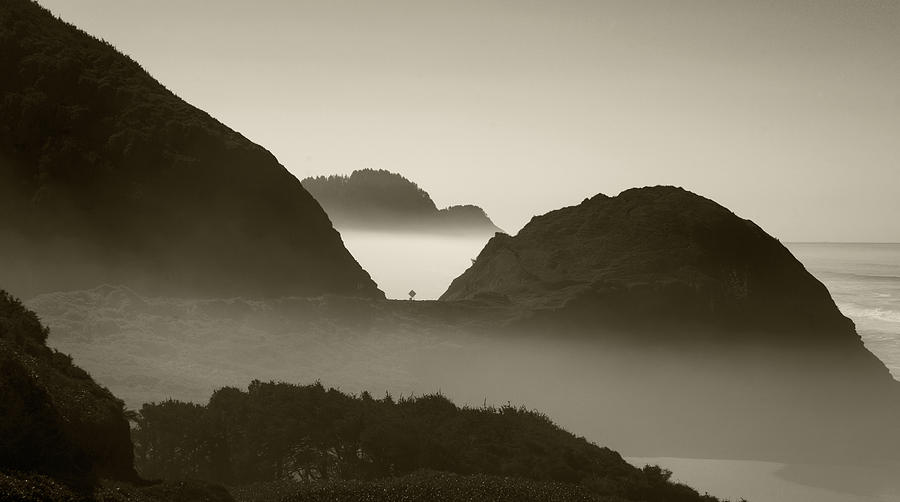 Oregon Coast Brown Filter by Rospotte Photography Oregon Coast Brown Filter by Rospotte Photography