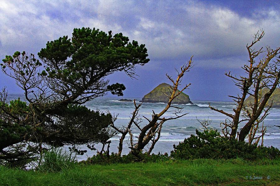 Oregon Coast Cloudy and Cold Digital Art by Tom Janca