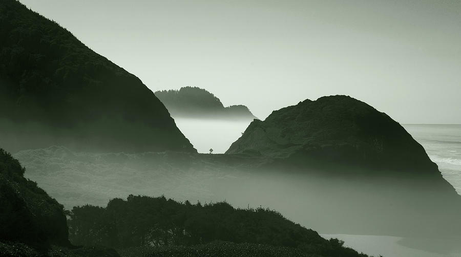 Oregon Coast Green Filter by Rospotte Photography Oregon Coast Green Filter by Rospotte Photography
