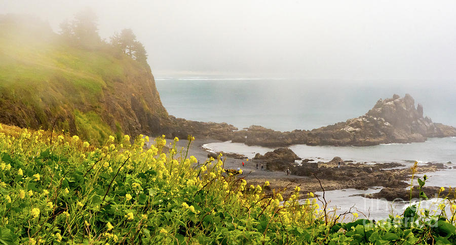 Oregon Coast Seascape Photograph by Nick Boren