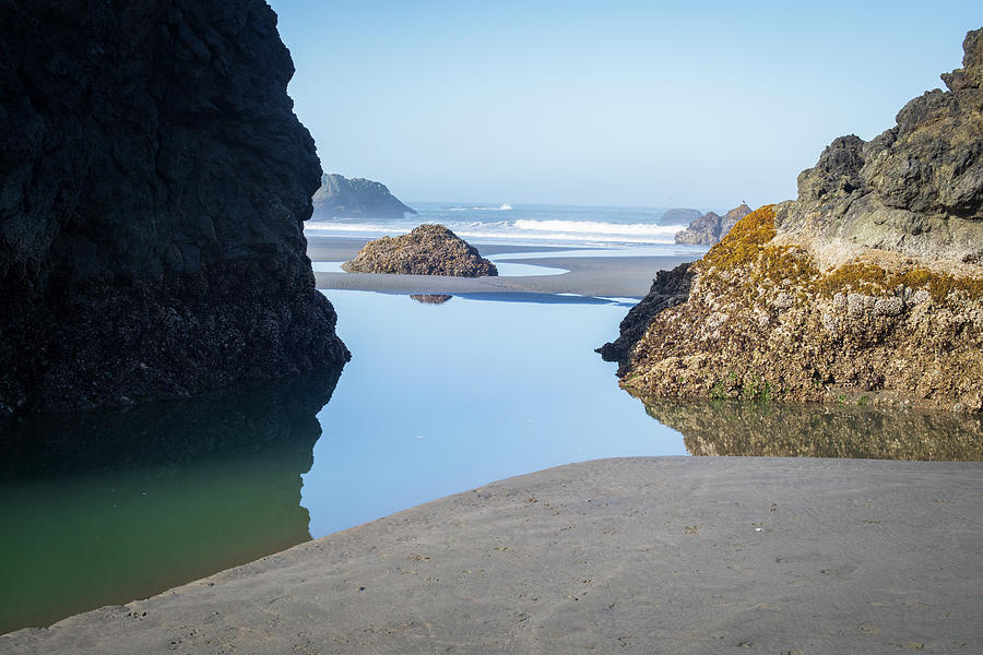 Oregon Coast Study no. 3039 Photograph by Jonathan Babon