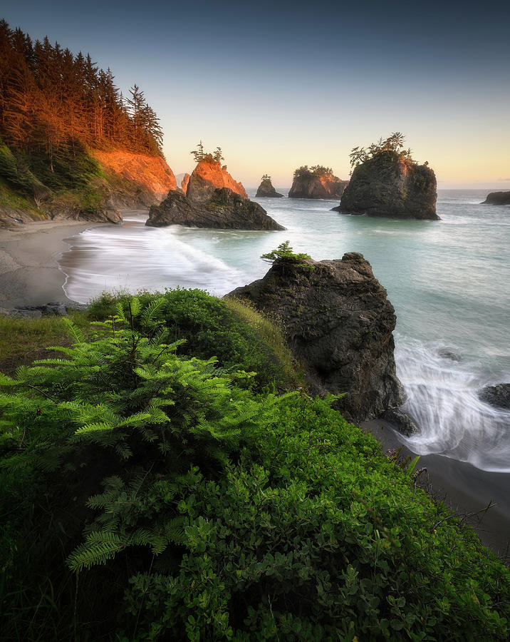 Oregon Coast Sunset IV Photograph by Ryan McGinnis - Fine Art America