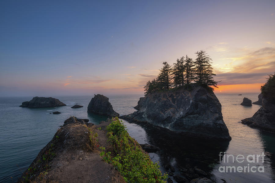 Oregon Coast Sunset  Photograph by Michael Ver Sprill