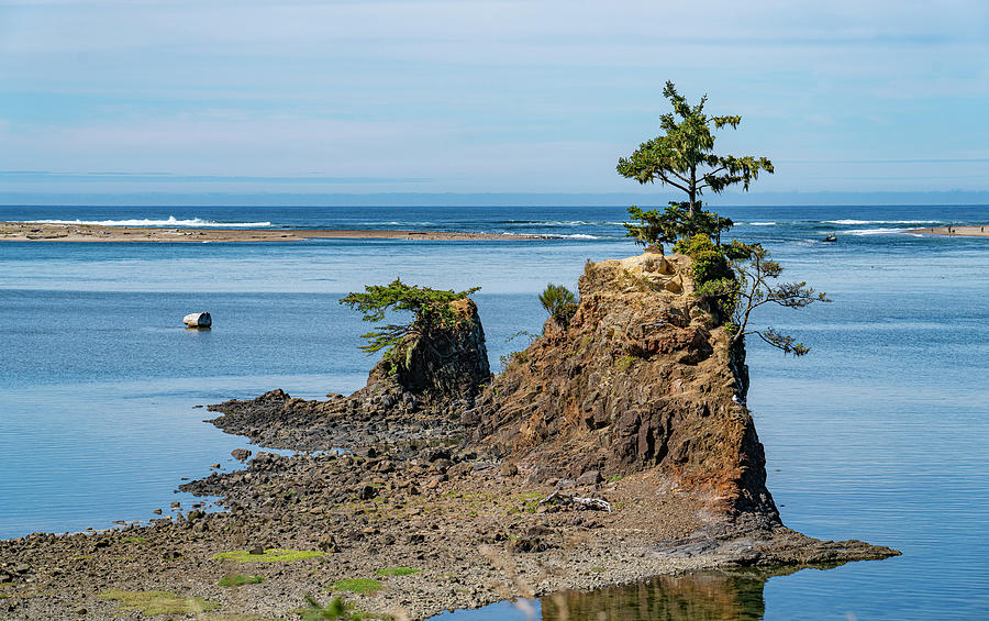 Oregon Coast Photograph by Tommy Farnsworth