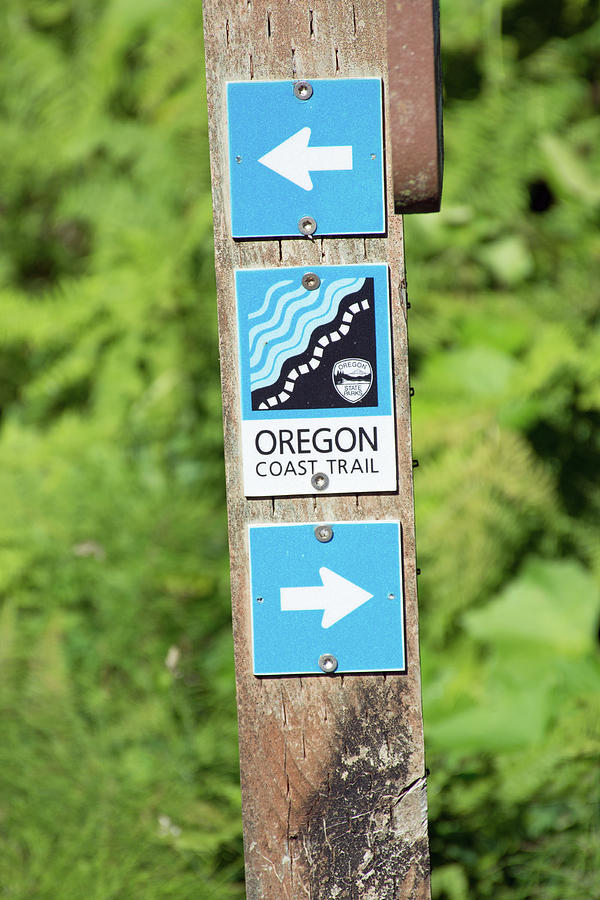 Oregon Coast Trail Sign Photograph by Bruce Gourley