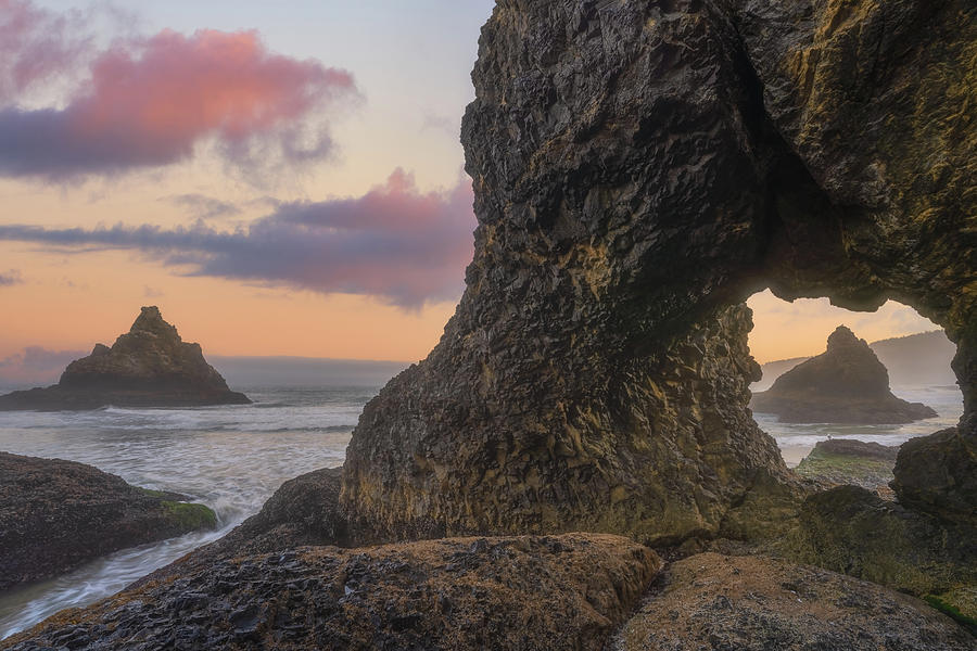 Oregon Coast Vision Photograph by Darren White