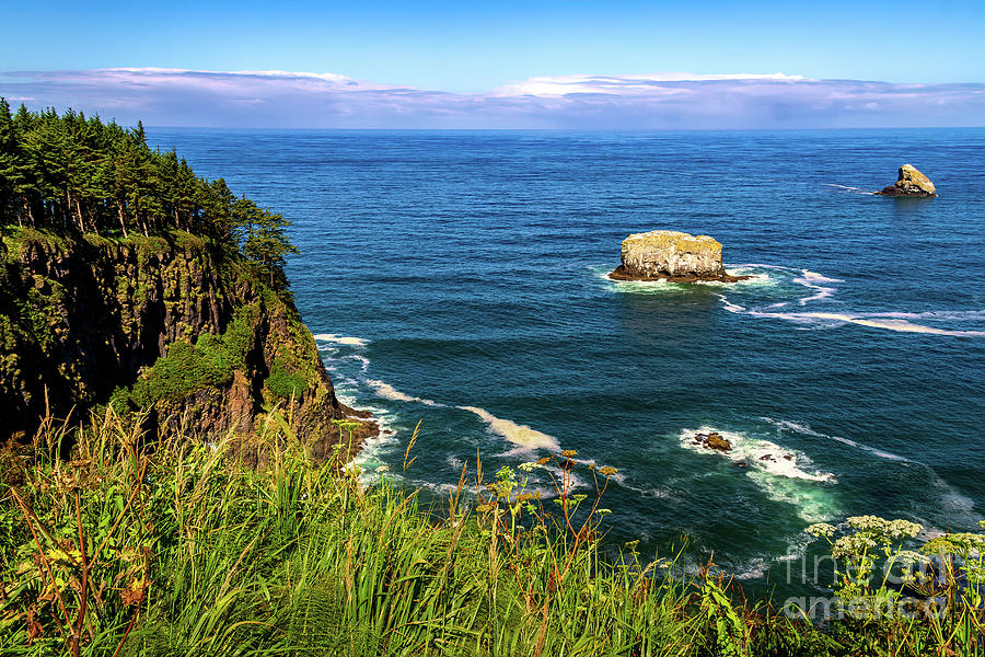 Oregon Coast with Rocks Photograph by Roslyn Wilkins