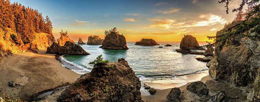 Oregon Coastline Photograph by John Wilbur Oregon Coastline Photograph by John Wilbur