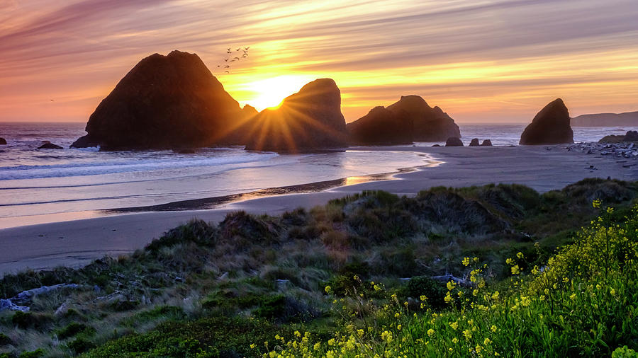 Oregon Coastline Sunset Behind A Large Rock Formations Photograph by Tony Locke