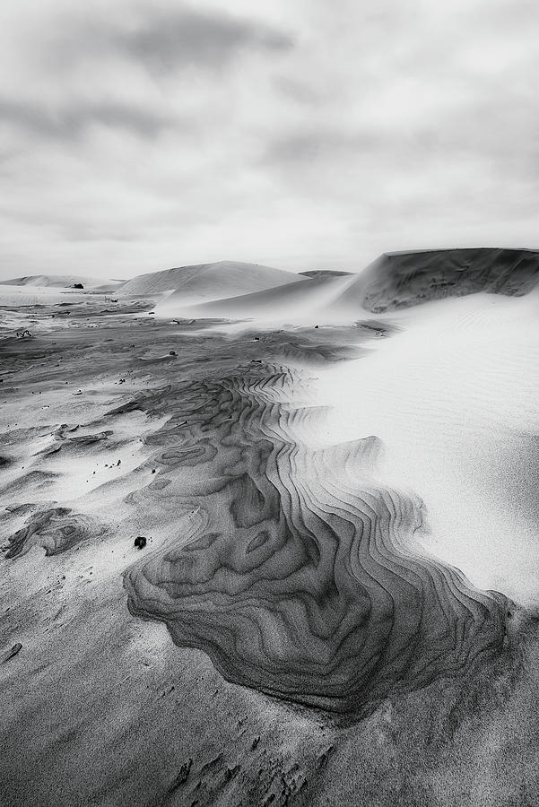 Oregon Dunes Photograph by Ryan Manuel