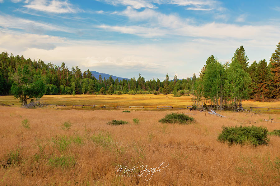 Oregon Field Photograph by Mark Joseph