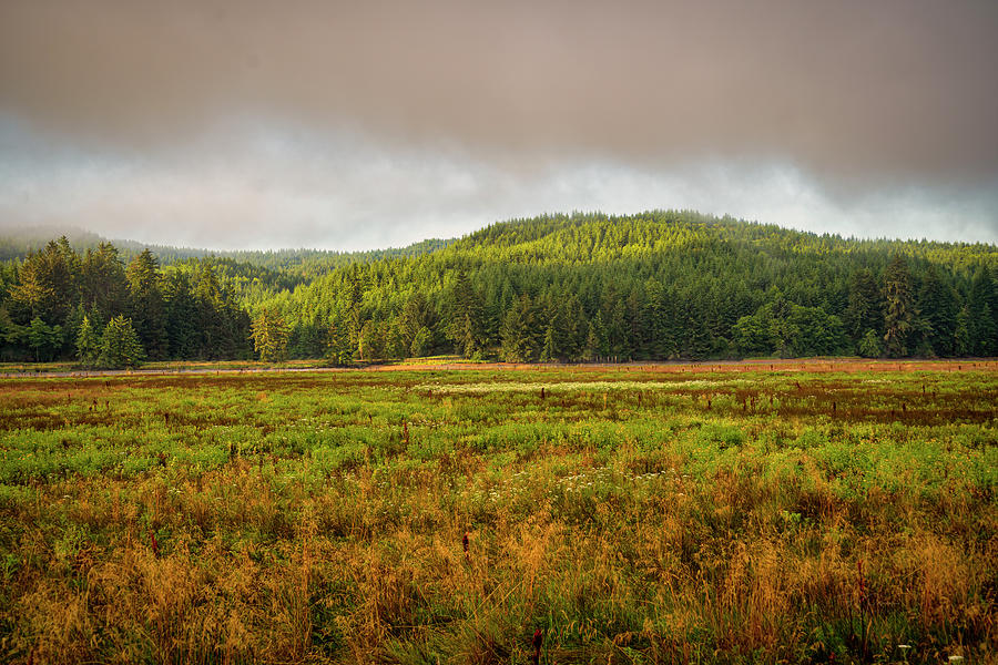 Oregon Field Morning Photograph by Bill Posner