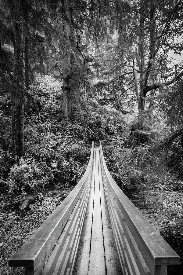 Oregon Forest Bridge Photograph by Joan Escala Usarralde - Fine Art America