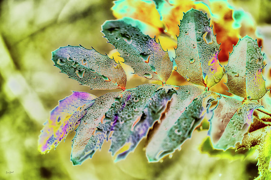 Oregon Grape - spring rain Digital Art by Bruce Block