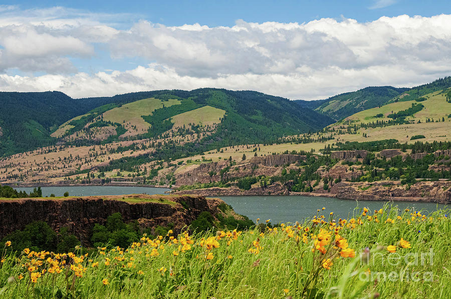 Oregon Landscape Photograph by Bob Phillips