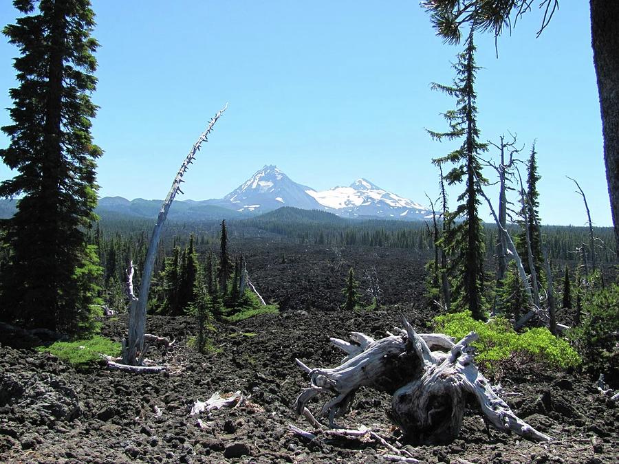 Oregon Lava Field Photograph by Edward Theilmann - Pixels