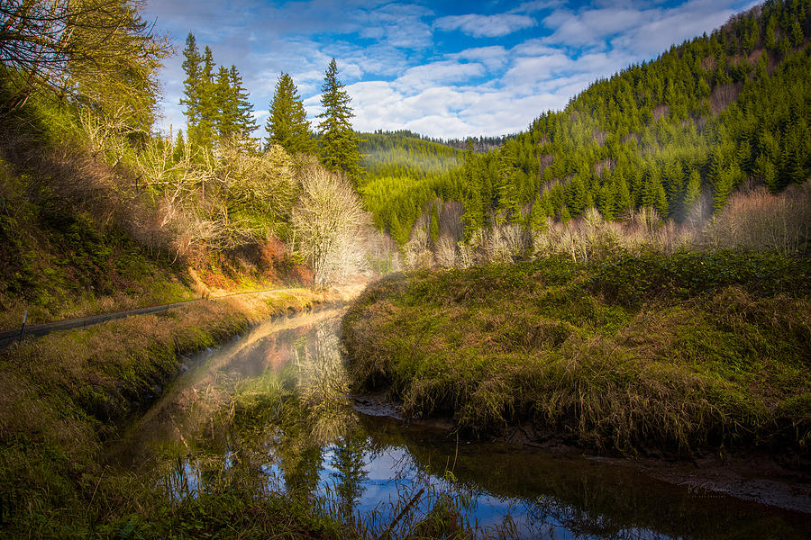Oregon Morning Photograph by Bill Posner