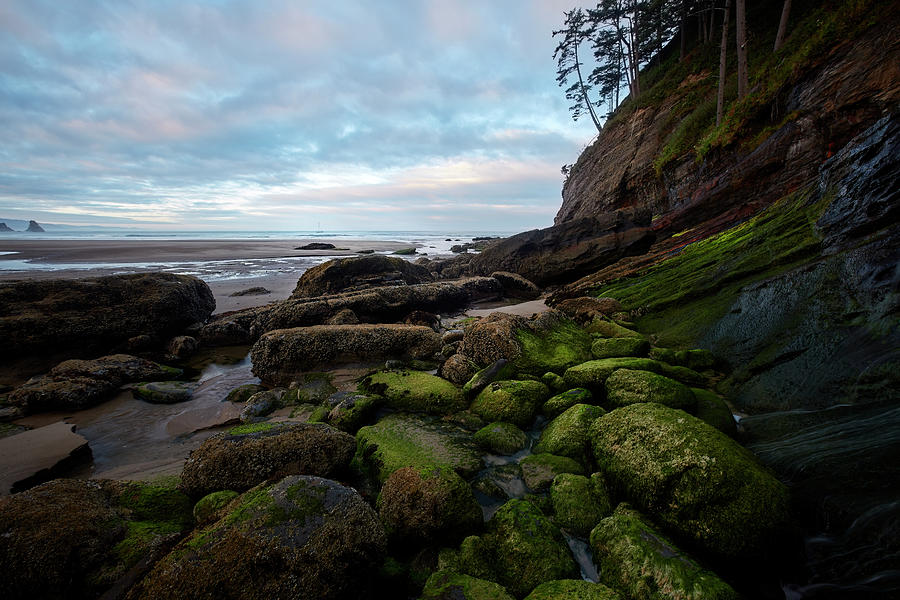Oregon Morning Shore II Photograph by Jon Glaser