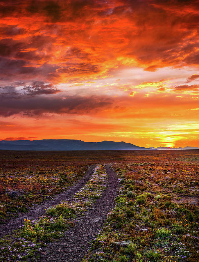 Oregon Outback Sunrise Photograph by Leland D Howard