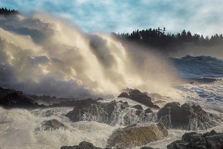 Oregon Splash Photograph by Bill Posner