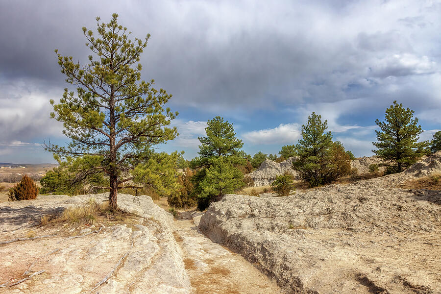 Nature Photograph - Oregon Trail Ruts - Guernsey, Wyoming by Susan Rissi Tregoning