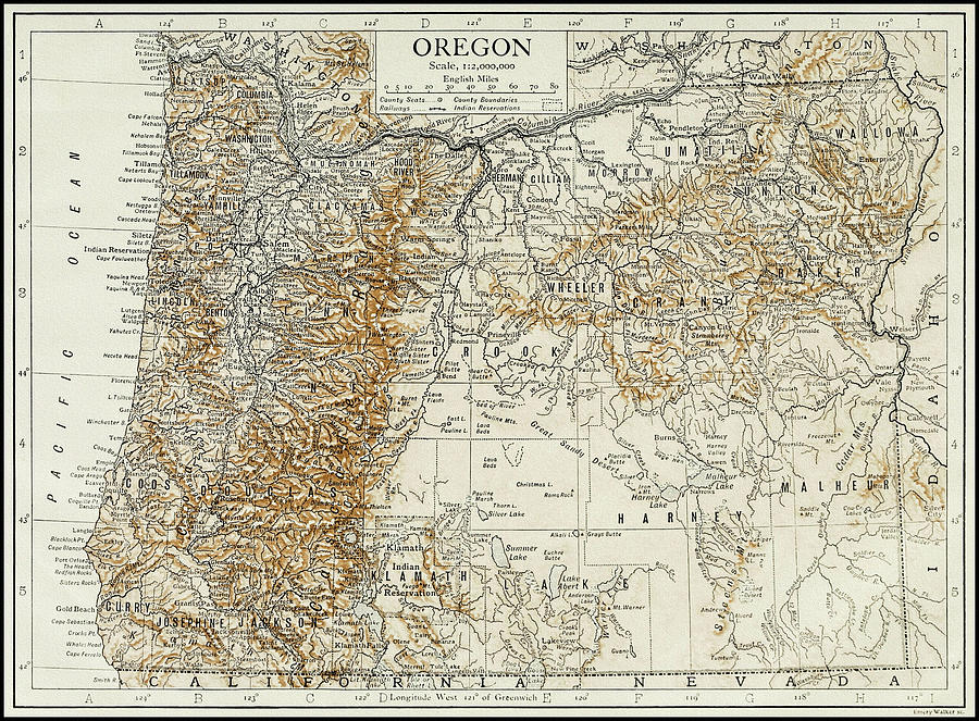 Vintage Photograph - Oregon Vintage Map 1911 by Carol Japp