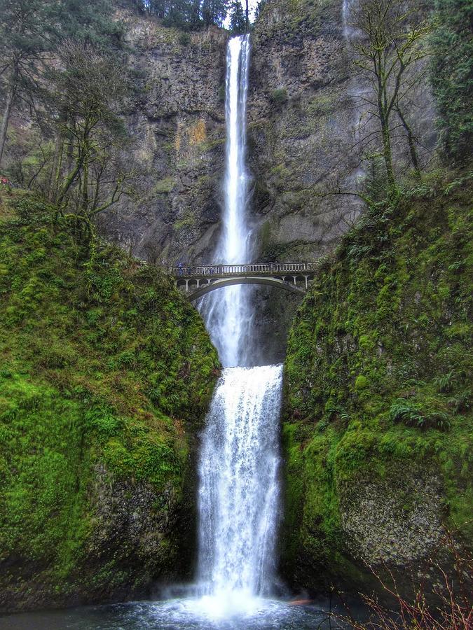 Oregon Waterfall Photograph By Kelly Linville - Fine Art America