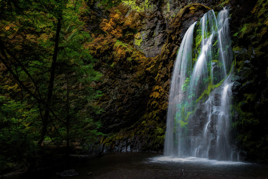 Oregon Waterfall Photograph