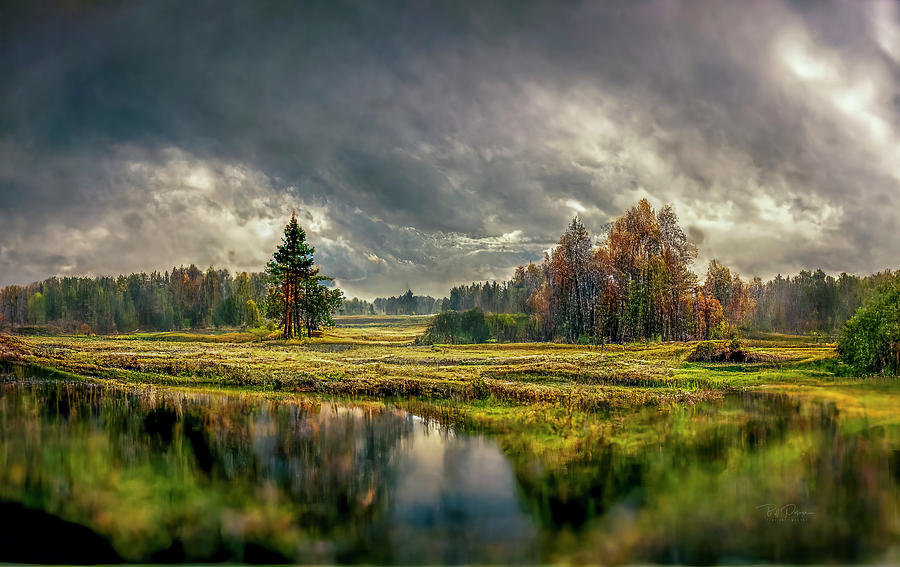 Oregon Wetlands in Autumn Digital Art by Bill Posner