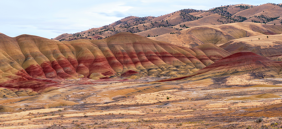 Oregons Painted Hills Photograph by Loree Johnson