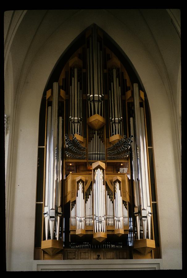 Organ Photograph by Lisa Mutch